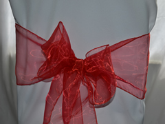 Organza Chair Sash